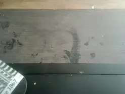 Amateur Live Porn of dace8312