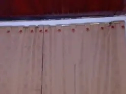 Amateur Live Sex of Candy_Kruhs