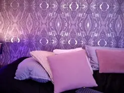 Amateur Live Porn of AbellaFox