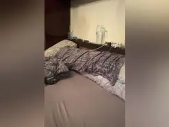 Amateur Live Sex of ZorraDeFuego