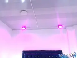 Amateur Live Porn of Leia_laurent
