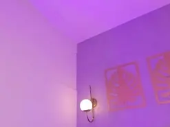 Amateur Live Sex Cam of majo_rose
