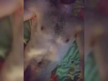 Bongacams Best live sex cam show of Incognitosexy