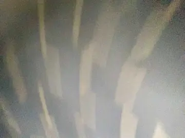 Bongacams Nude Webcam of Asiankitties
