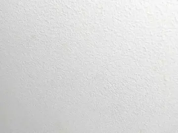 Bongacams Free Live Porn of latinblack-