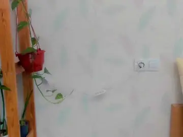 Bongacams Sex Chat of Kelly-Klein