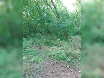 Bongacams Best live sex cam show of Lubovniki