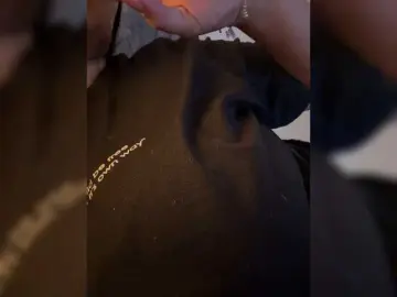 Bongacams Live Porn of IrisEvans
