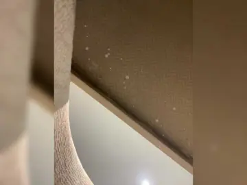 Bongacams Sex Cam of APRILHILL