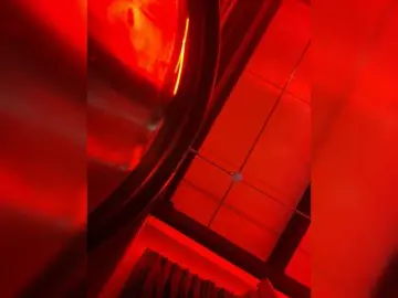Bongacams Live Sex Cam of Pamela-Velvet