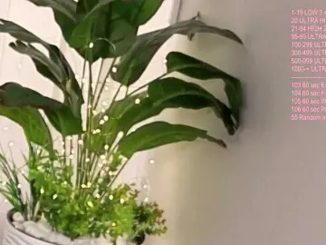 Bongacams Free Porn Cam of Vik-Love