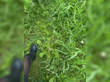 Bongacams Watch Live Sex Cams of aniram2221