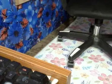 Bongacams Free Porn Cam of lima11