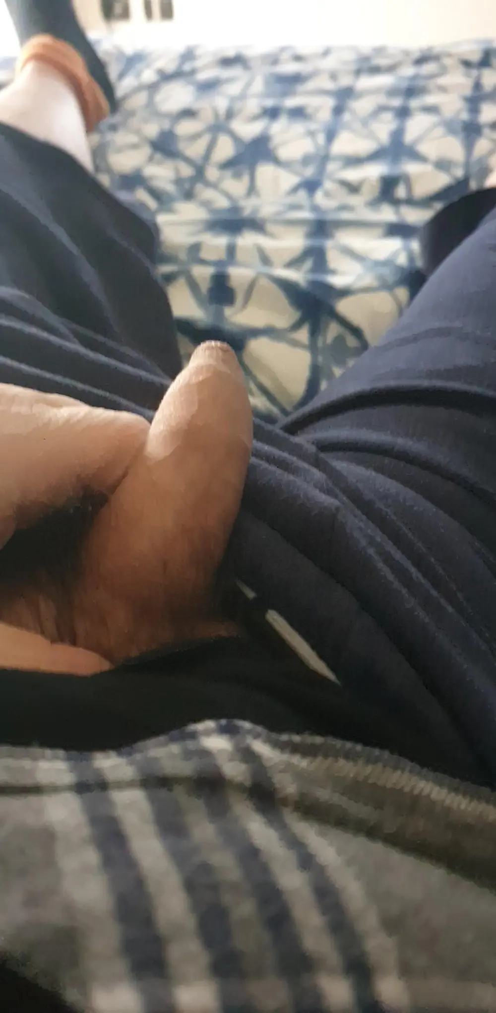 belciccio2
