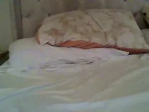 Cam4 Best live sex cam show of estet11