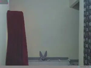 Cam4 Nude Webcam of Andrewxbi