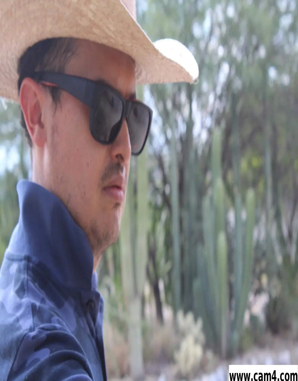 Mikeverg