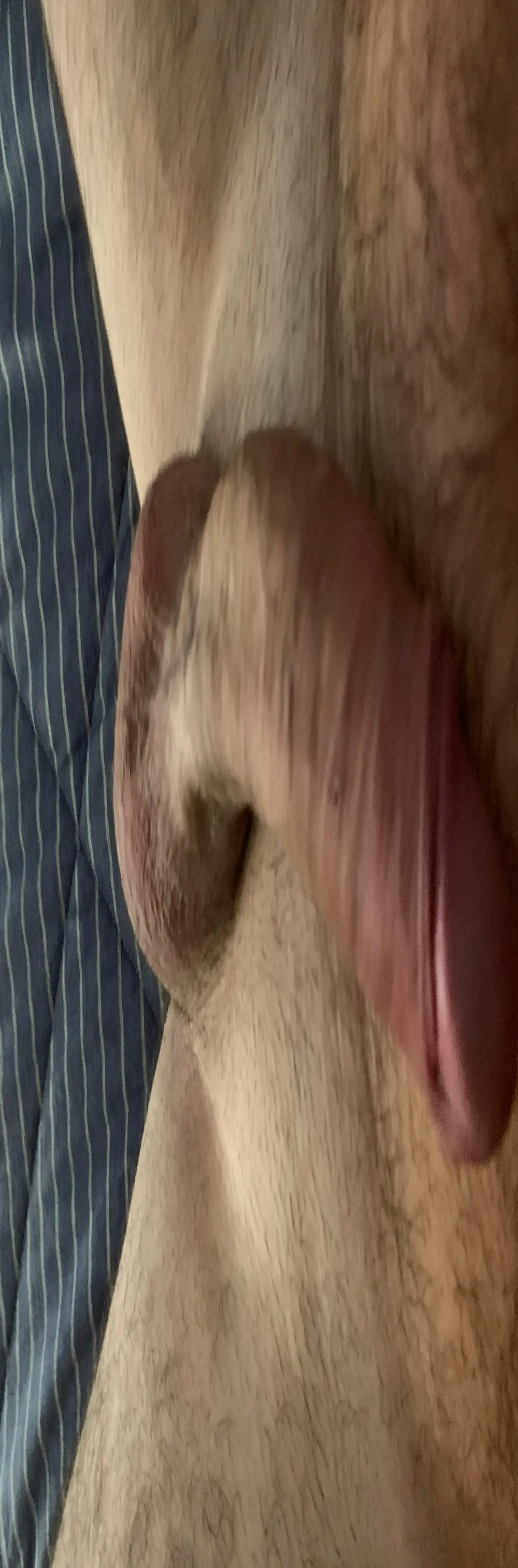 Sborroxtew