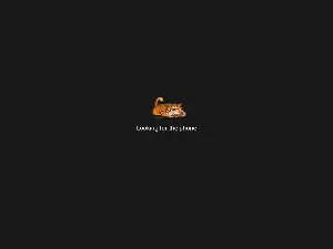 Cam4 Live Sex of valdelacroix