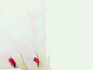 Cam4 Adult Webcams of Amelia_Myers