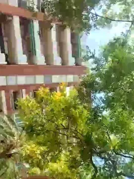 Cam4 Live Porn of Hedagaricam