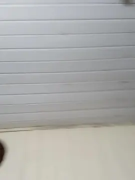 Cam4 Adult Webcam of JoohEhrat