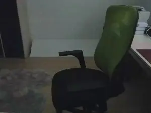 Cam4 Best Webcam of Swisshot6
