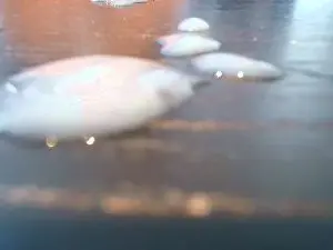 Cam4 Live Porn of vincekamphues