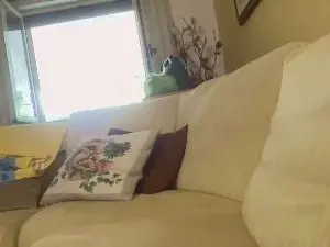 Cam4 Best Webcam of martinabigst