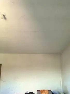 Cam4 Free Porn Cam of Tj20cmm
