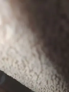 Cam4 Free Live Porn of Novinpirocudo69