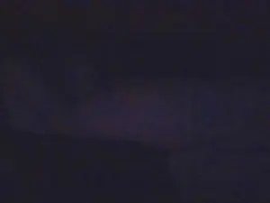 Cam4 Sex Chat of SvenTwinkboy