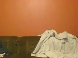 Cam4 Adult Webcam of SvenTwinkboy