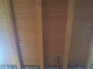 Cam4 Free Porn Cam of shaggyvery