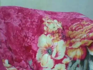 Cam4 Free Live Porn of saminah3