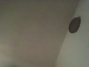 Cam4 Sex Cam of CreamyAdvisor