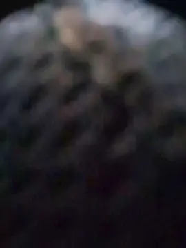 Cam4 Private Sex Chat of paulo_cam24
