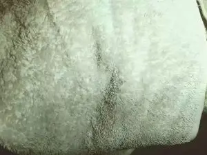 Cam4 Free Live Porn of tiny1999