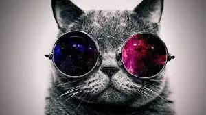 Jack0Miel1