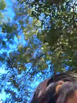 Cam4 Private Sex Chat of Mssady