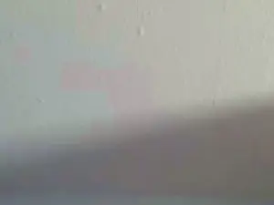 Cam4 Live Sex of cleophee