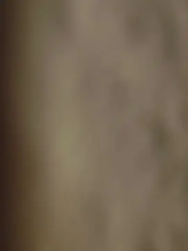 Cam4 Free Live Porn of Wiilliii