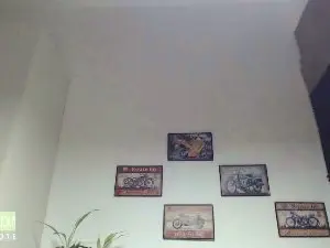 Cam4 Sex Chat of rustynf1tz