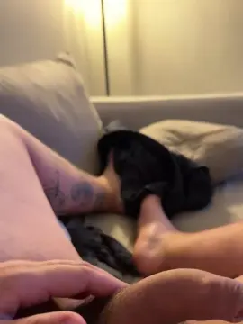 Cam4 Adult Video Chat of Valramaz1