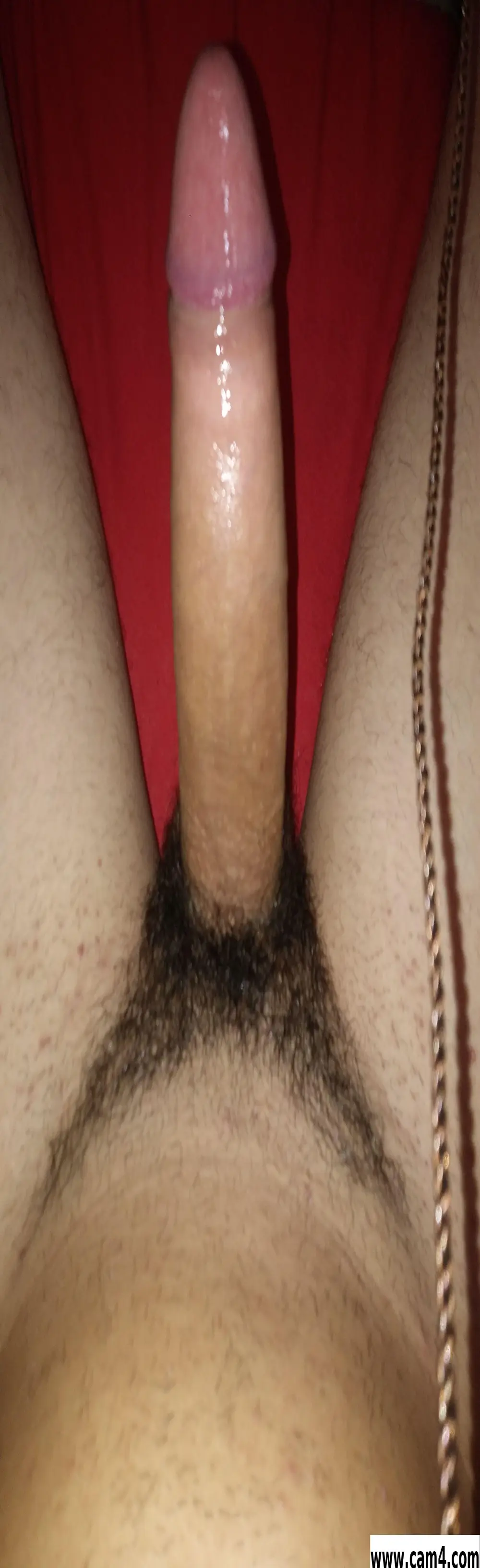 hornyguitarguy