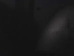 Cam4 Live Porn of zena_xxx