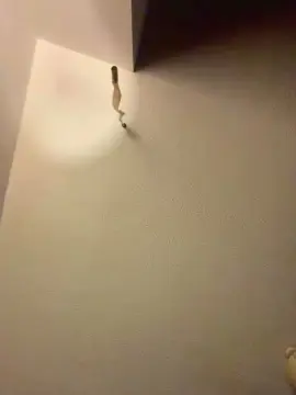 Cam4 Private Sex Chat of fukmew1