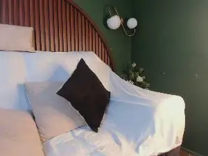 Cam4 Free Porn Cam of Diamante_twink