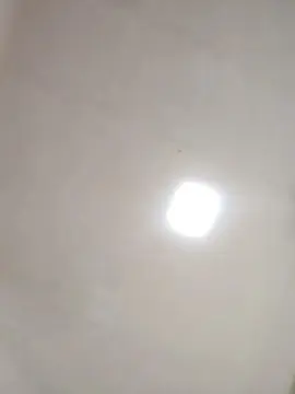 Cam4 Watch Live Sex Cams of Fenixxzzzxx