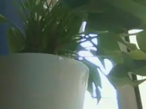 Cam4 Best live sex cam show of submb64